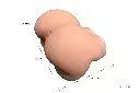 12.webp
