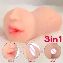 12.webp
