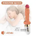 A1 (8).webp