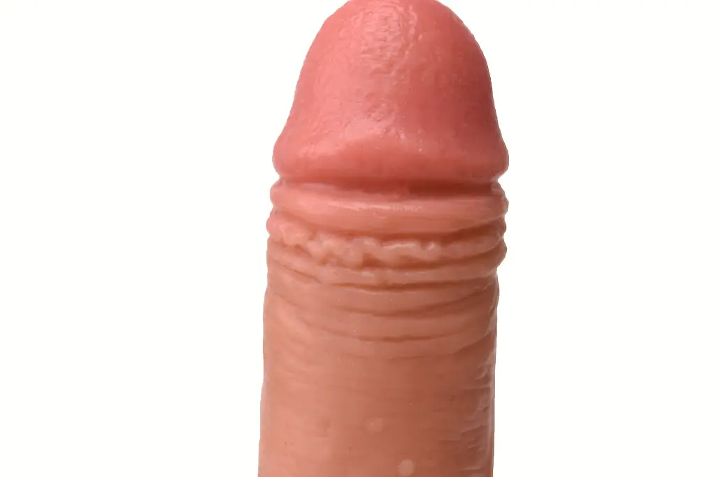 004.webp