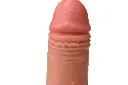 004.webp