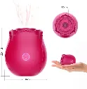 size.webp