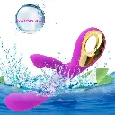 A5.webp