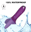 B9.webp