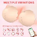 1 (5).webp