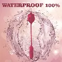 6.webp