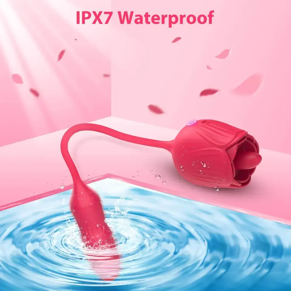 5.webp