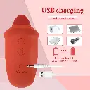 5.webp