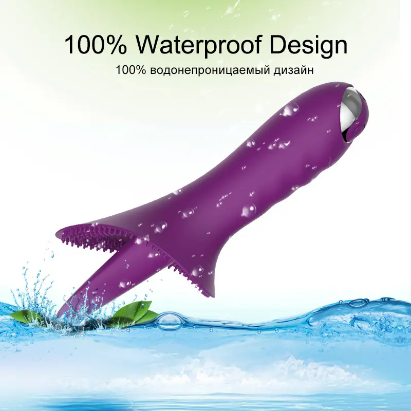 12.webp