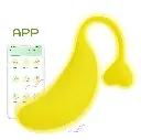 9.webp