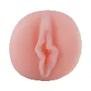 5.webp