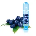8.webp